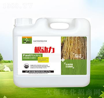 ������-������