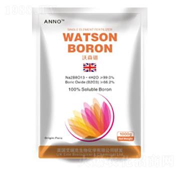沃姆森硼-英國艾瑞克