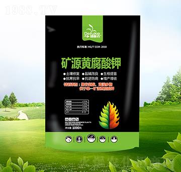 �VԴ�S�����-������