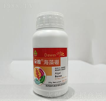 ��Ψ������-�G����