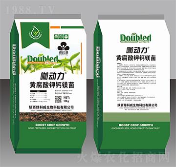 �������S������}�V��-�G����