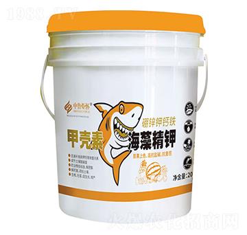 �ך��غ��徫�-ɽ�|�������