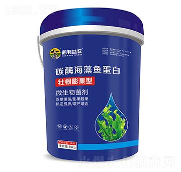 ̼ø�����~(y��)����-��(r��n)�����r(n��ng)