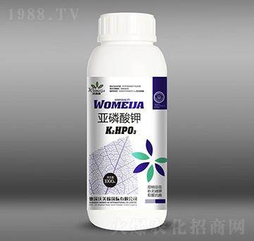 �������-������