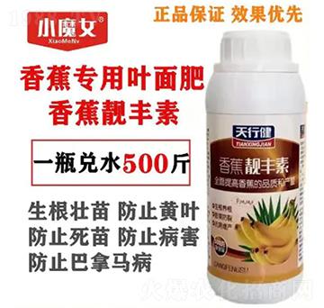 �㽶�����~���-���н�