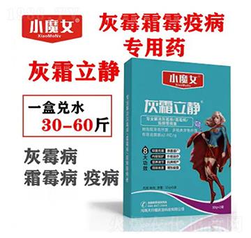 ��ù˪ù�߲�����ˎ-��˪���o-СħŮ-���н�