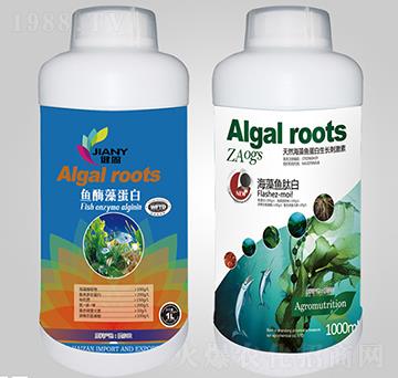 �~(y��)ø�~(y��)����+�����~(y��)�İ�-��ٝ