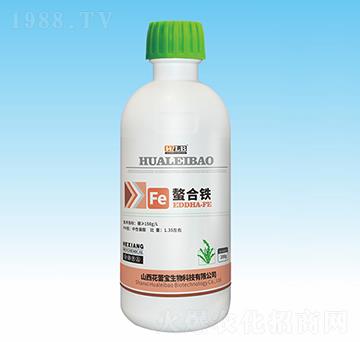 �����F-���ٌ�����