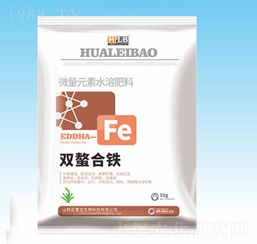 �p�����F-���ٌ�����