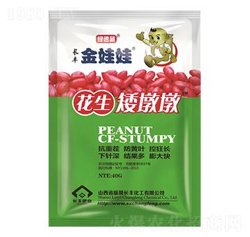 �������ն�-�L(zh��ng)�S������-�G����-�L(zh��ng)�S����