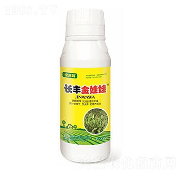 �L�S�����ޣ���������-�G����-�L�S����