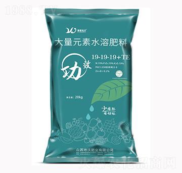 大量元素水溶肥料19-19-19+TE-地沃肥業(yè)