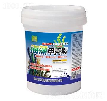 ����ך���-�f(w��n)�ﴺ