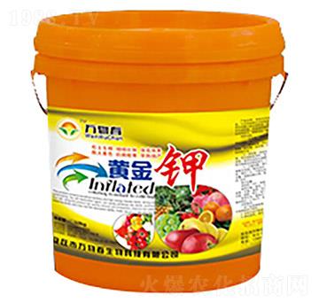 �S���-�f(w��n)�ﴺ