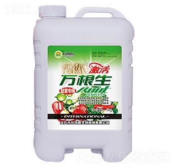 �߲����f����-�f�ﴺ