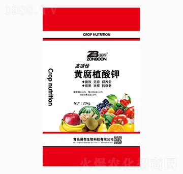 高活性黃腐植酸鉀-展幫