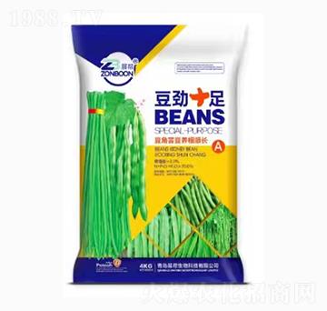 豆角蕓豆養(yǎng)根順長-豆勁十足-展幫