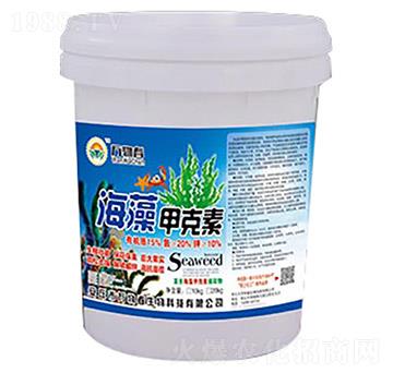 ����׿���-�f(w��n)�ﴺ