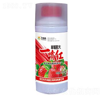 ��ݮ���һ���t-�f�ﴺ