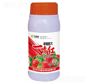 500ml草莓膨大一噴紅-萬物春