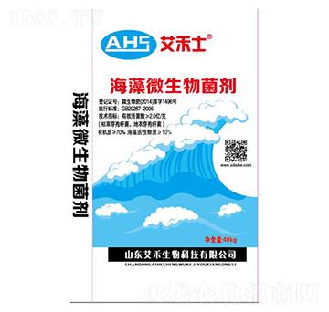 ����΢�������-����ʿ-��������