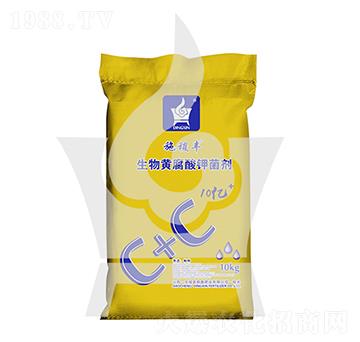 �����S����⛾���-ʩ��S-���ηʘI(y��)