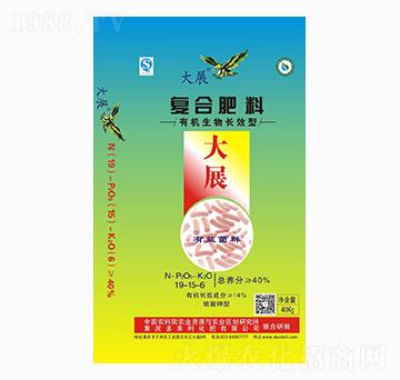 �ͺϷ���19-15-6-��չ-������