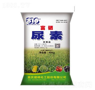 �������w����-����