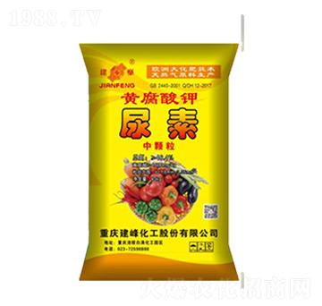 �S�����-����