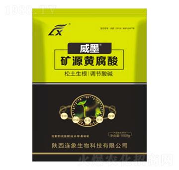 �V��Դ�S����-��ī-�B������