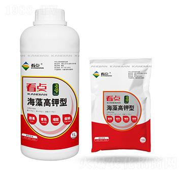 ��������-���c(di��n)