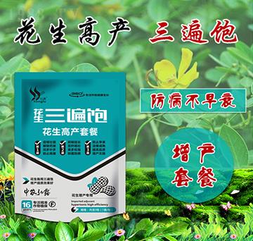 花生高產套餐-花生三遍飽-田小超