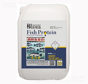 ø���~����-���Ը��Z-�����r�I(y��)