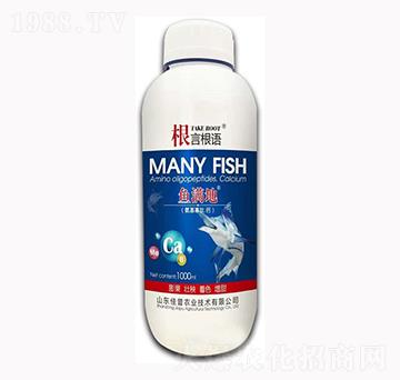 ���������}-���Ը��Z(y��)-�����r(n��ng)�I(y��)