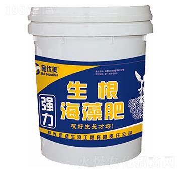 ���������-��������