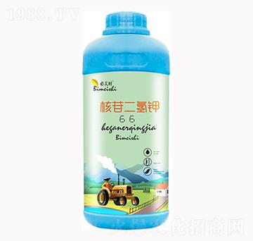 ���ն����-�����r(sh��)-�f���r(n��ng)��