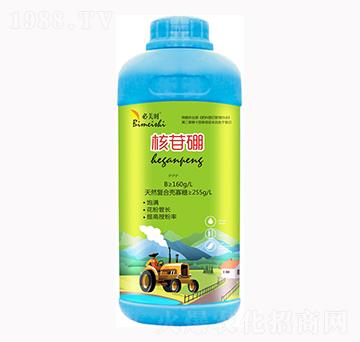 ������-�����r-�f���r(n��ng)��