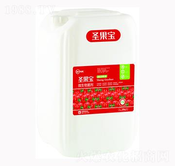 ʥ����΢�������-�f���r(n��ng)��