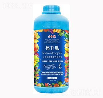 �����-С�t��-�f(w��n)���r(n��ng)��