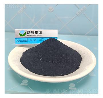 ���徫��-��(��i)��˹����