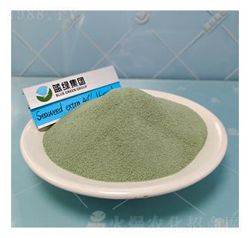 40%�Gɫ���徫-��(��i)��˹����