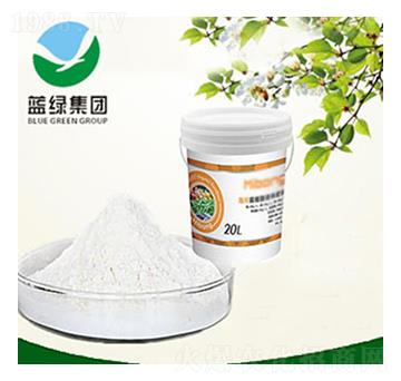 ������-��(��i)��˹����