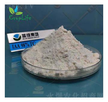 ��������-����˹����