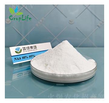 a�����ᣨNAA��-����˹����