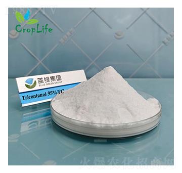 ��ʮ�鴼-����˹����