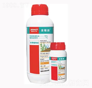 �r��ֲ����-����-¡�ꠖ