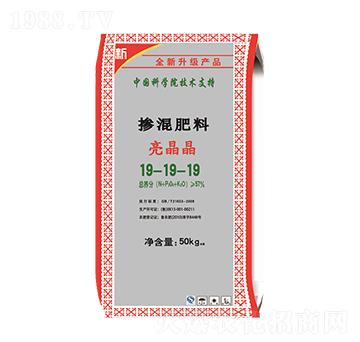 �������19-19-19-������-��M�}