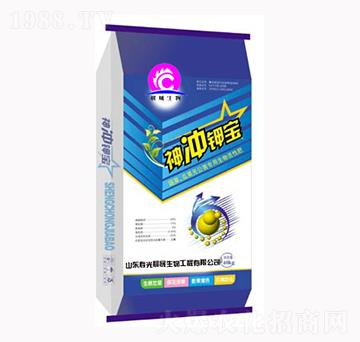 ��_⛌�-��������