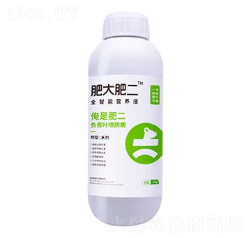 ȫ���ܠI(y��ng)�B(y��ng)Һ-�ʴ�ʶ�-�����m�r(n��ng)�I(y��)