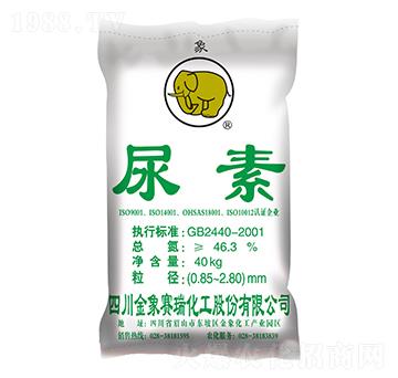 ����-����ِ��